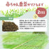 “不含咖啡因”1 杯 Taiyo-san Baby Bancha 茶包連繩 2.5g x 65 入